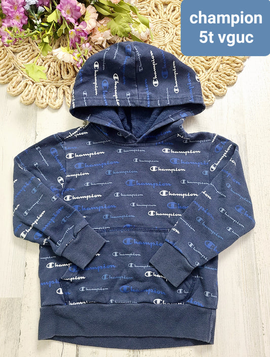 champion logo hoodie boys