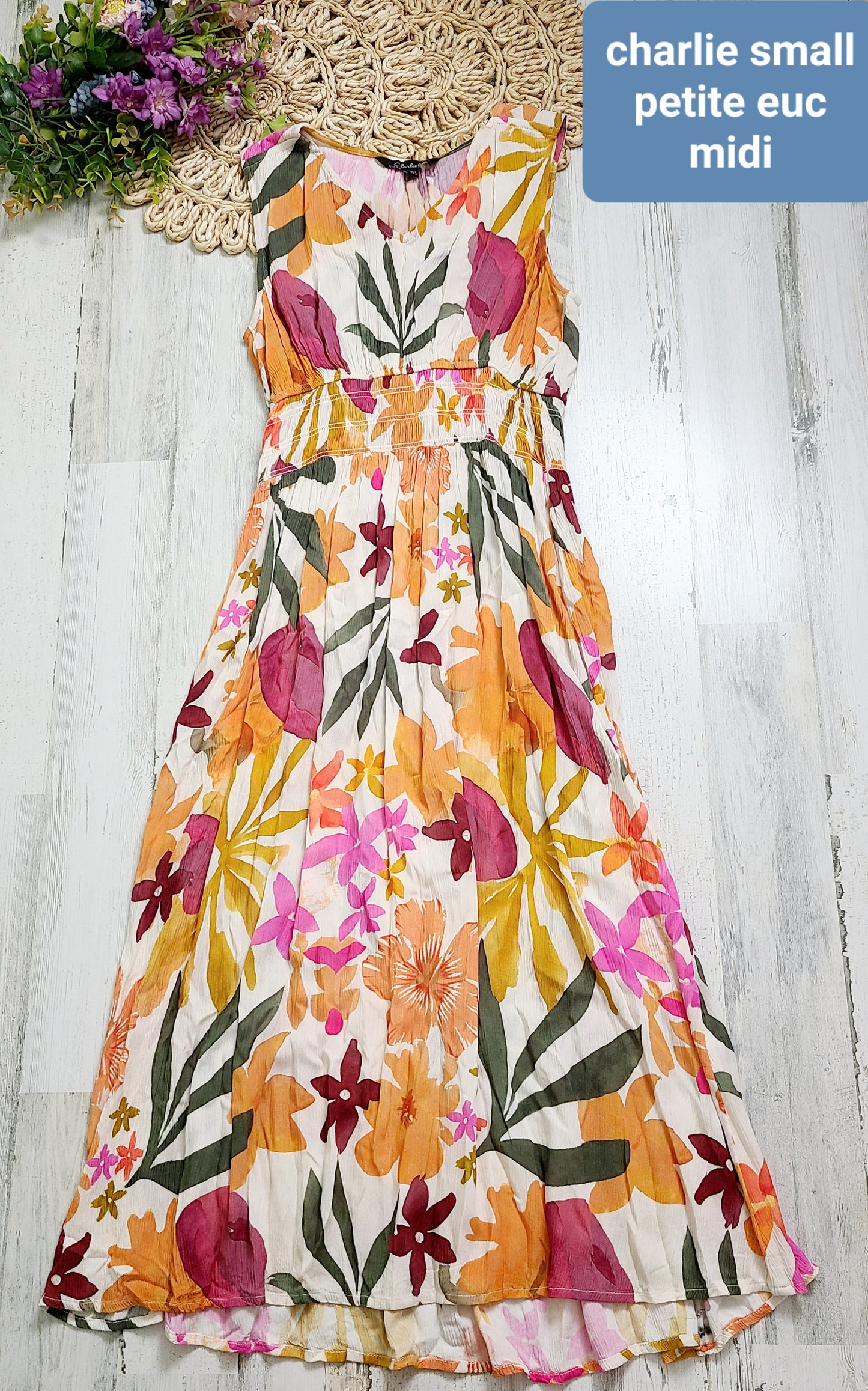 charlie colorful dress