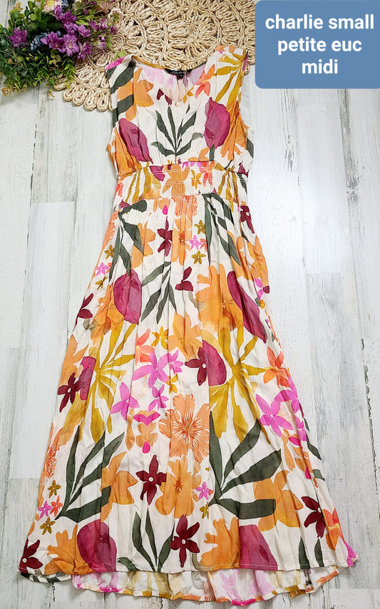 charlie colorful dress