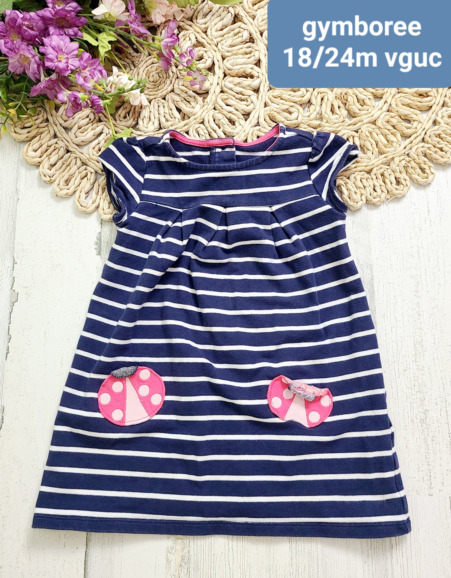 gymboree lady bug pocket dress