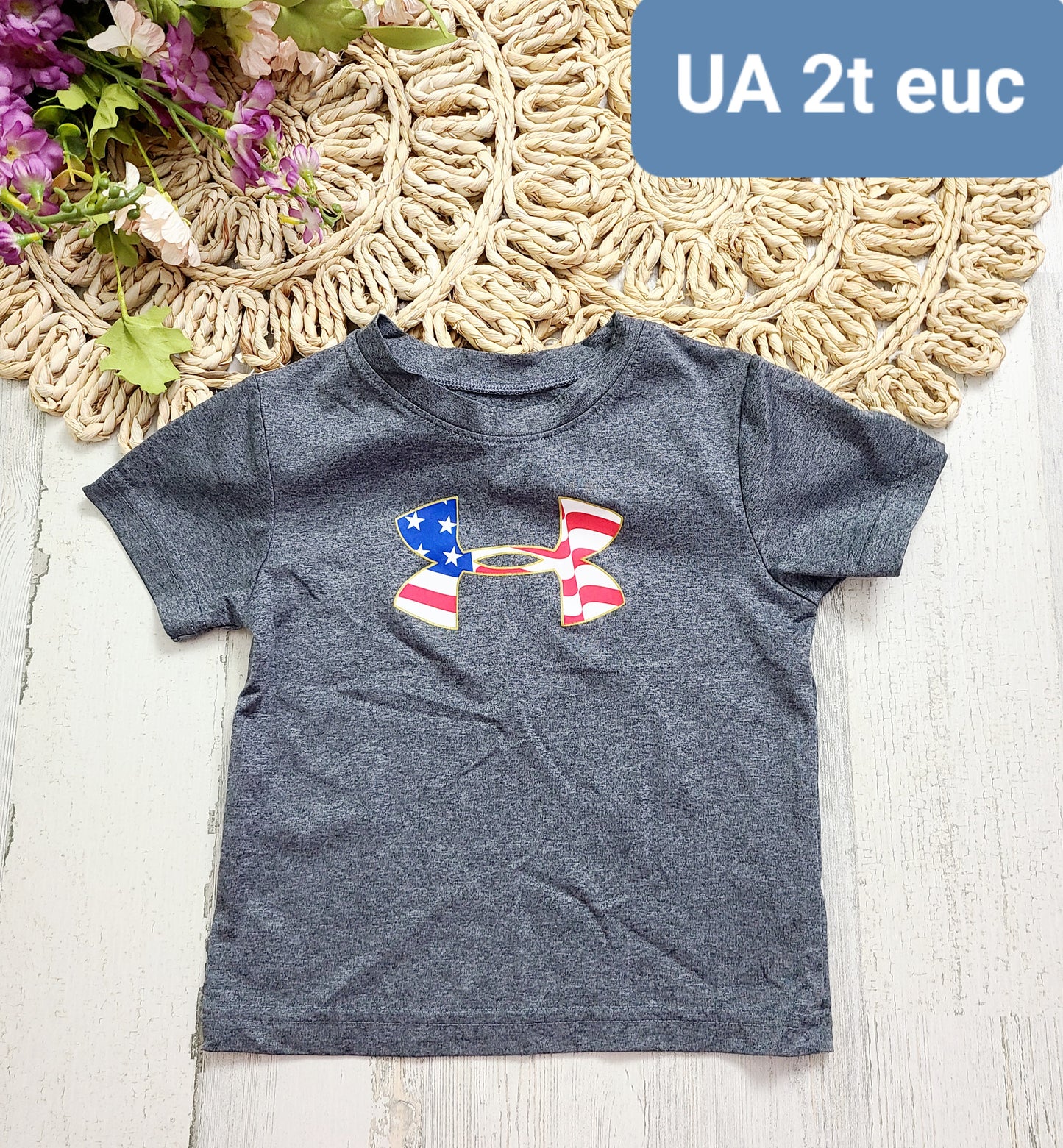 ua gray flag logo 2t
