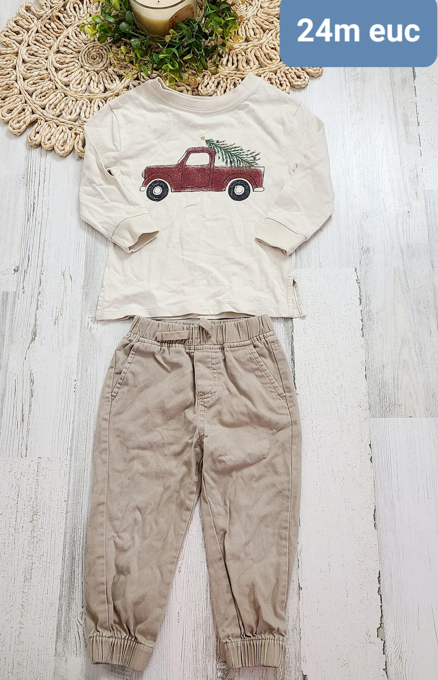 tree in truck top and khaki pants