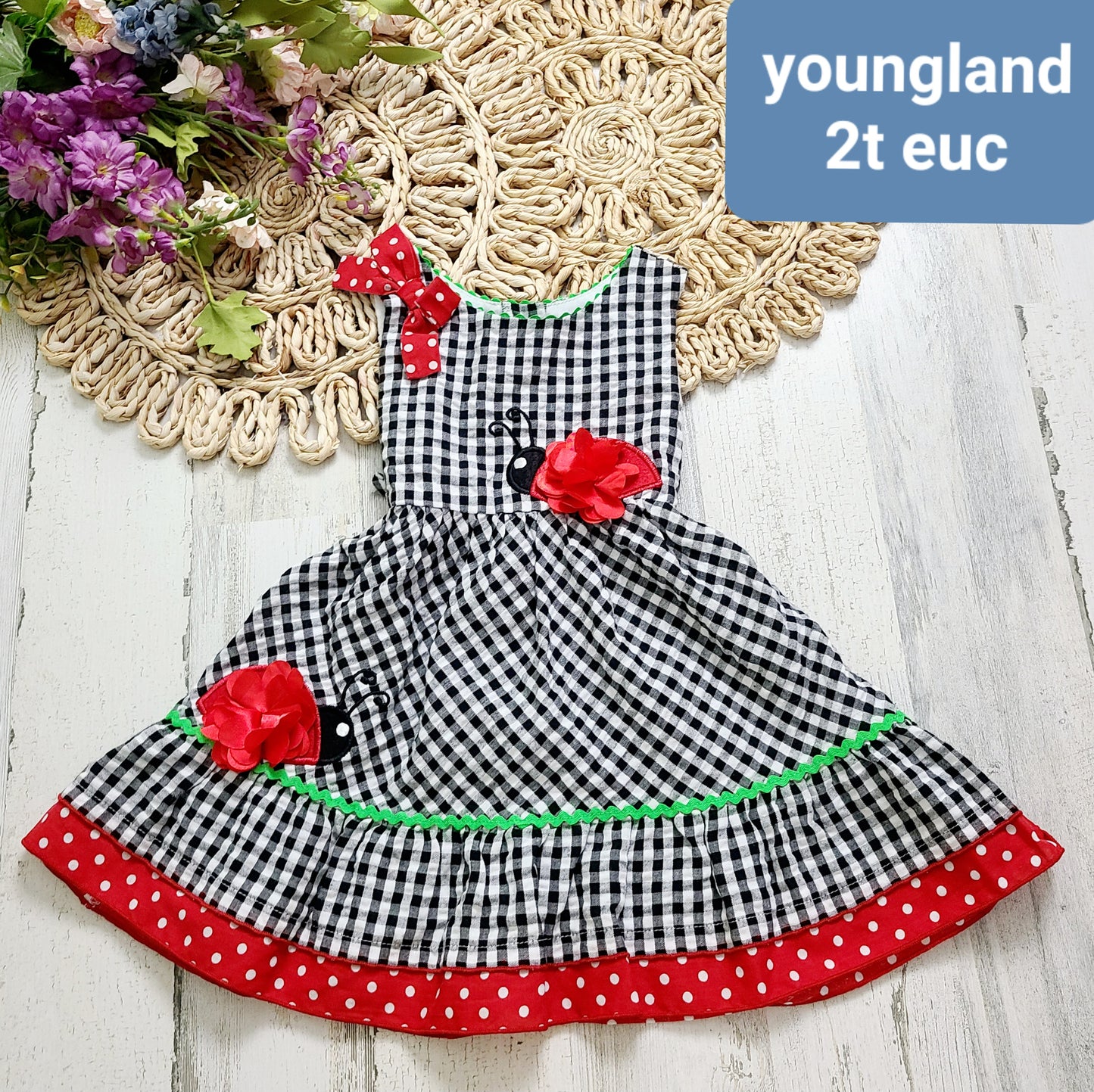 younglad plaid ladybugs