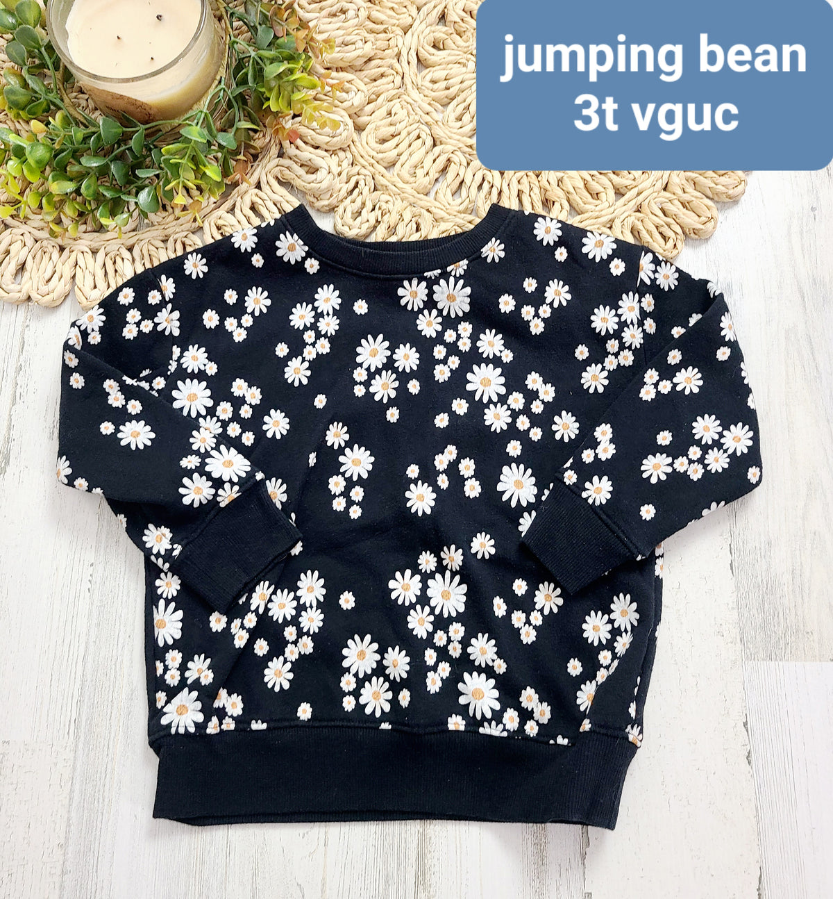 white daisy on black jumping bean