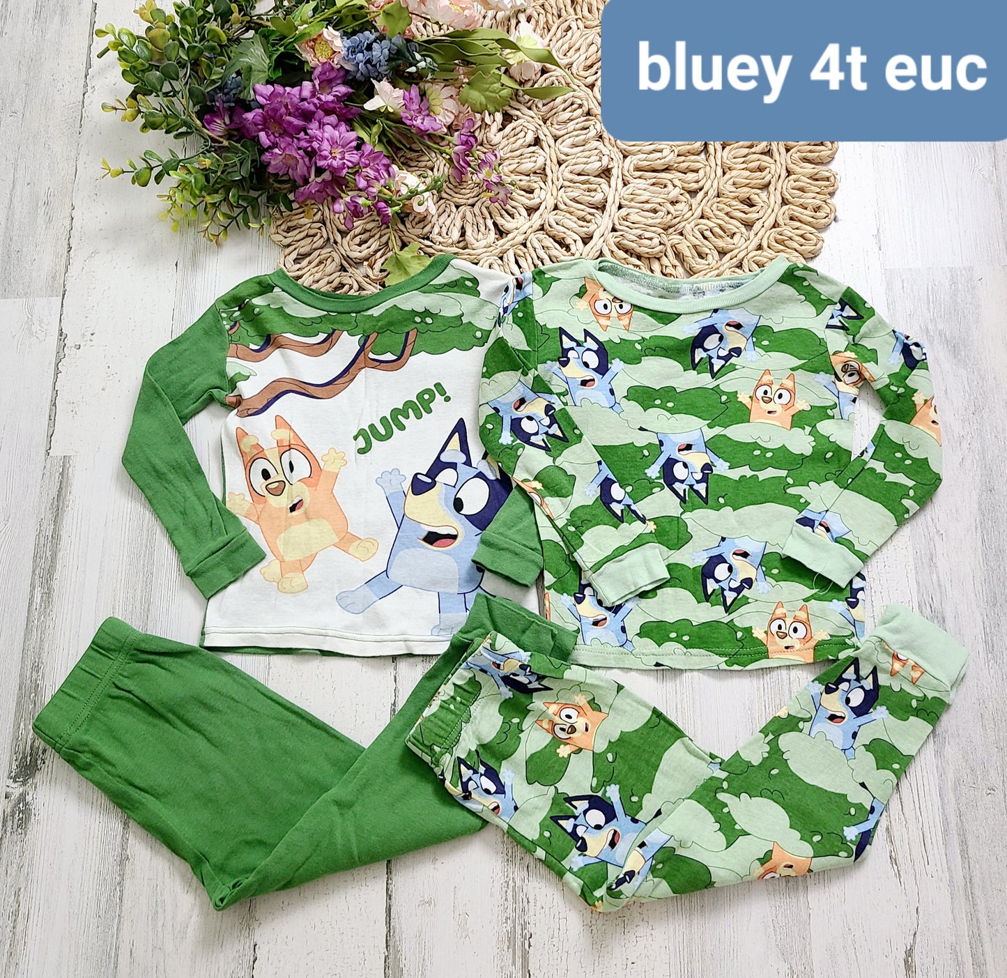 bluey pj green