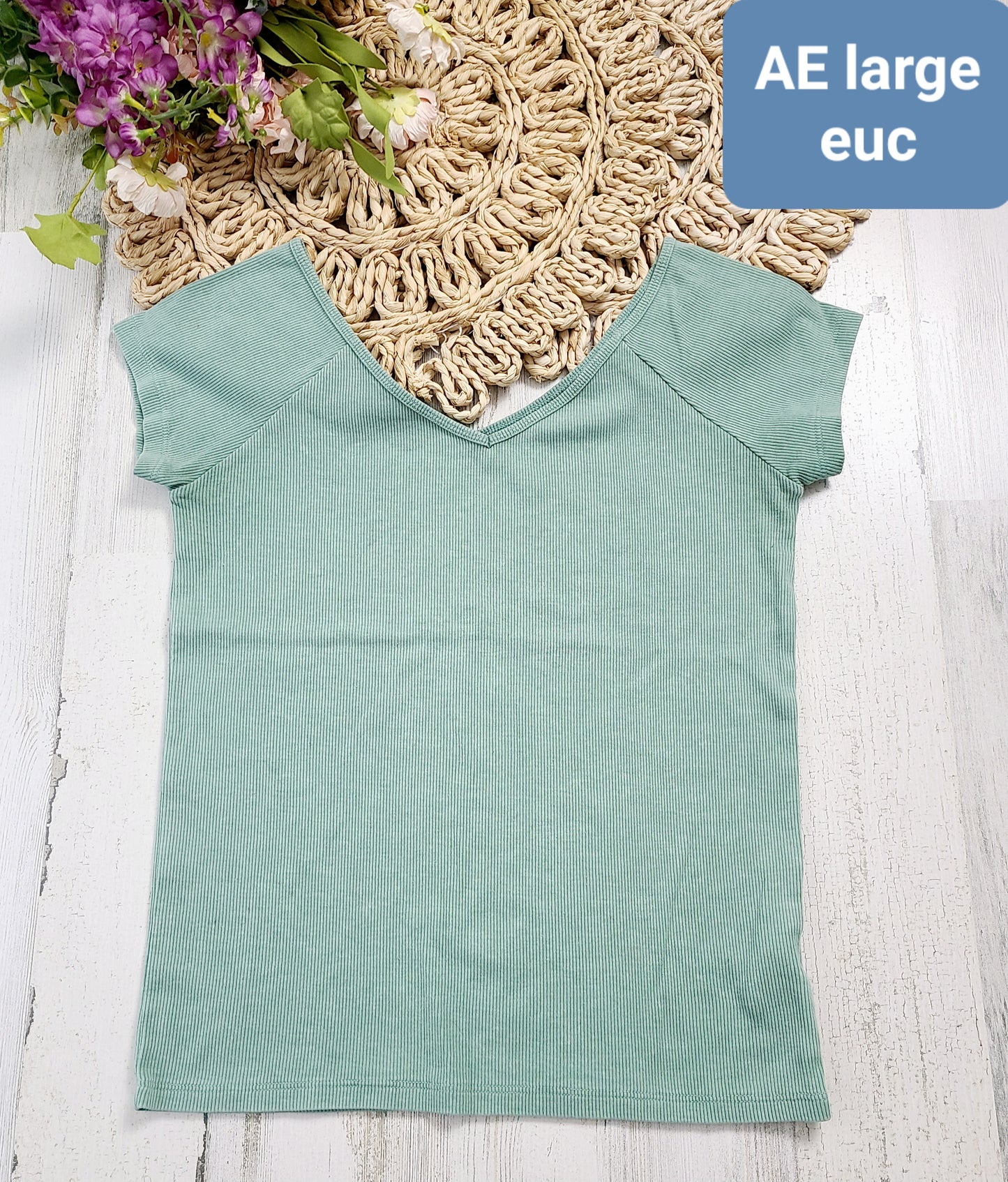 ae ribbed vneck