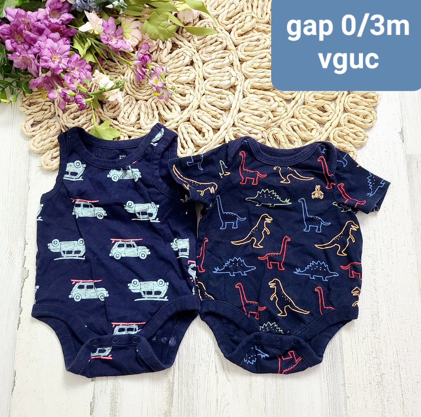 gap surf and dino onesies