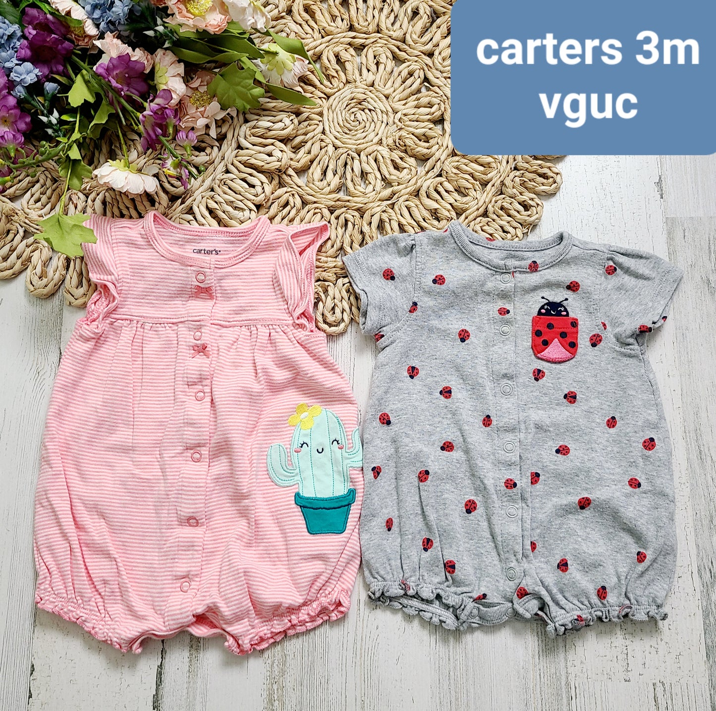 cactus ladybug carters