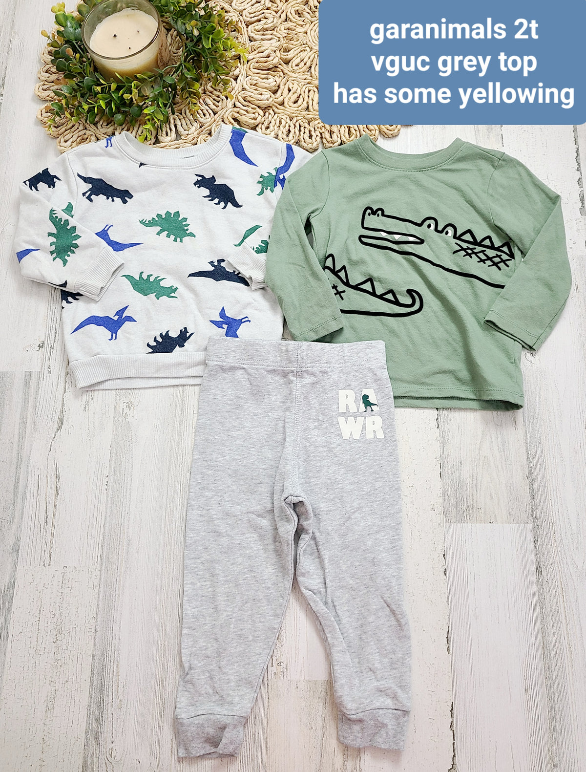 gator and dino garanimals 2t