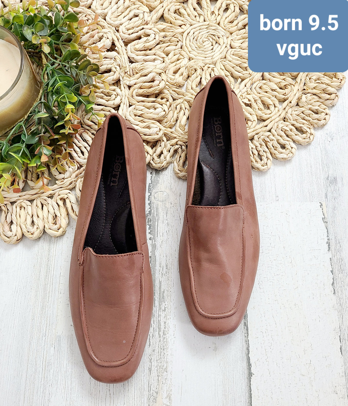 brown flats born