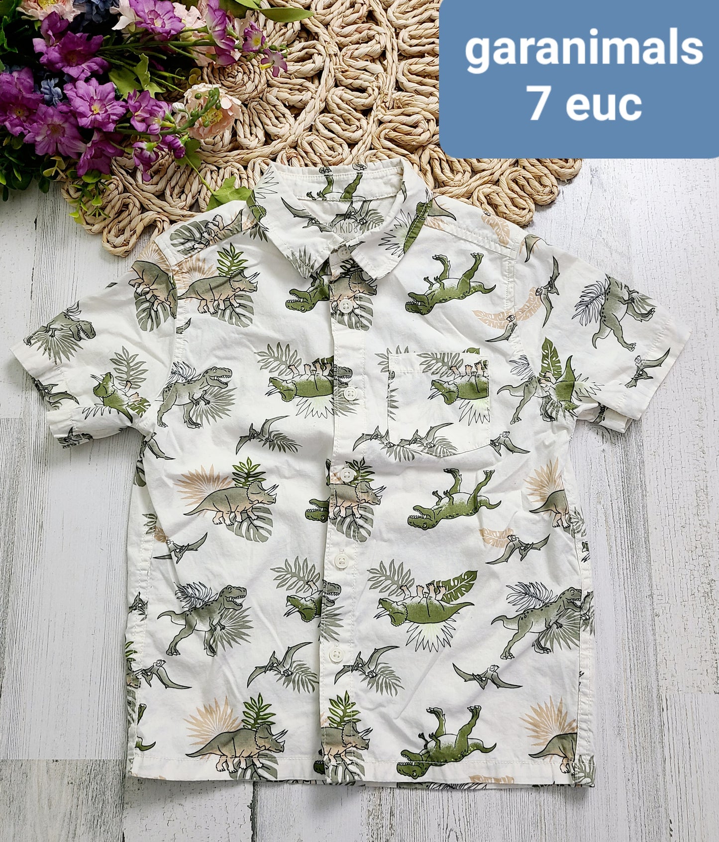 dino garanimals button down