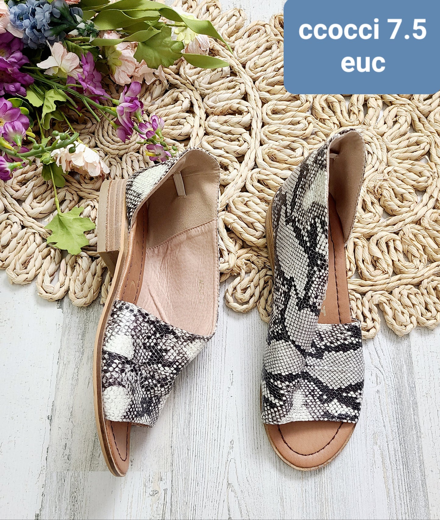 ccocci snake flats