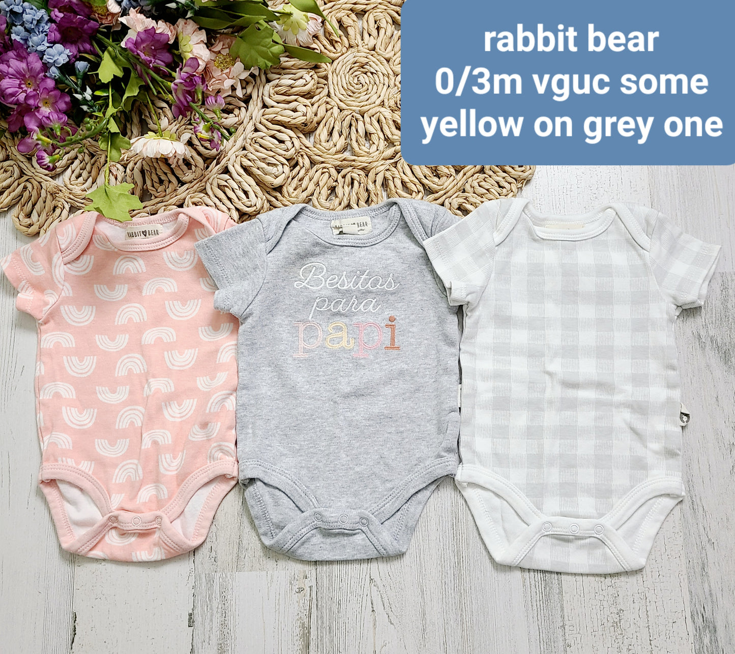 rabbit bear papi rainbow plaid