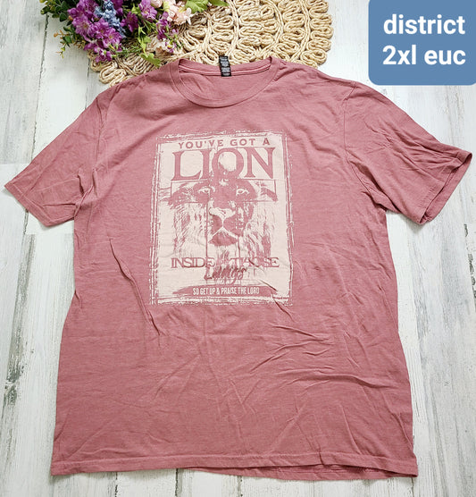 you’ve got a lion tee district