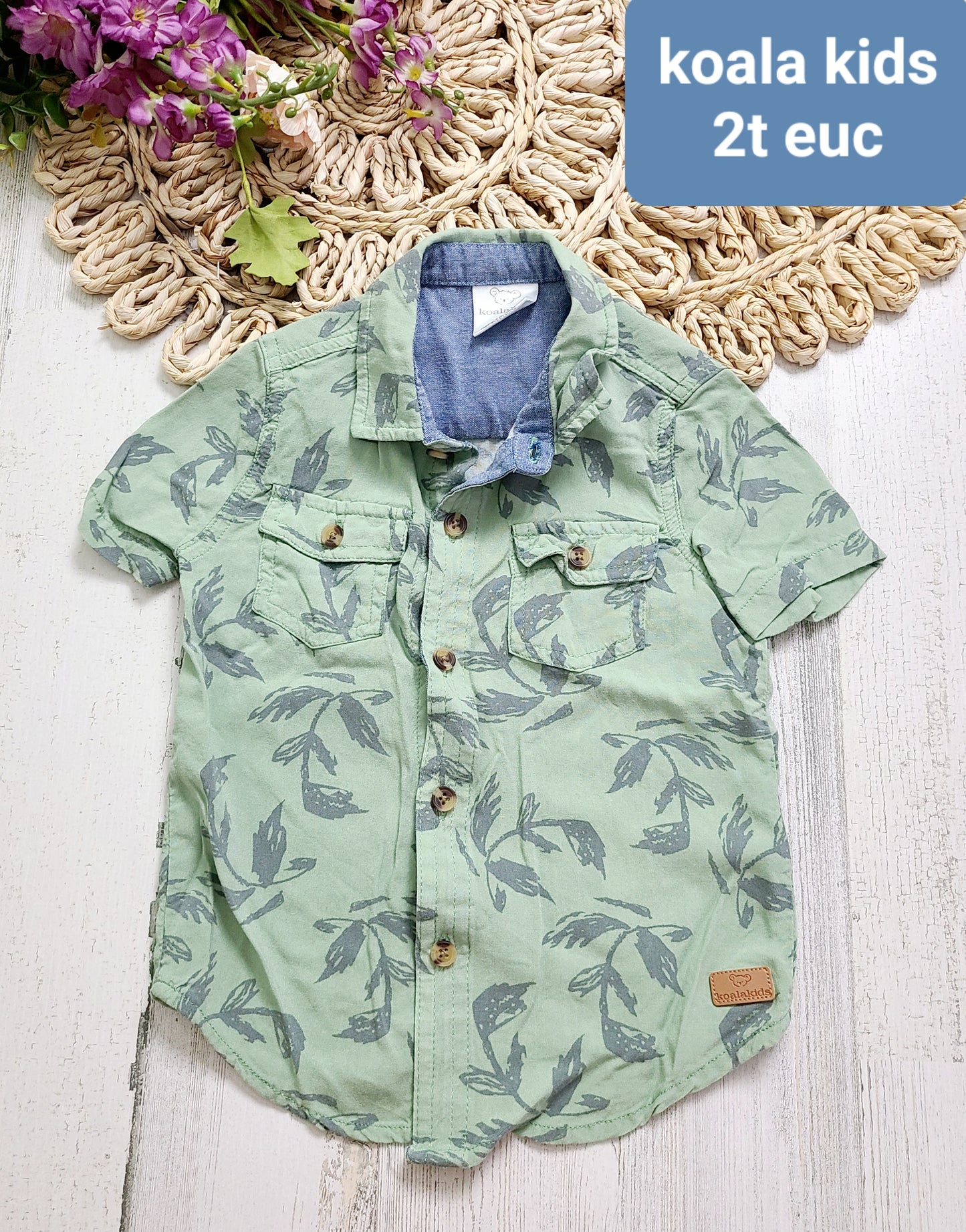 sage green koala kids
