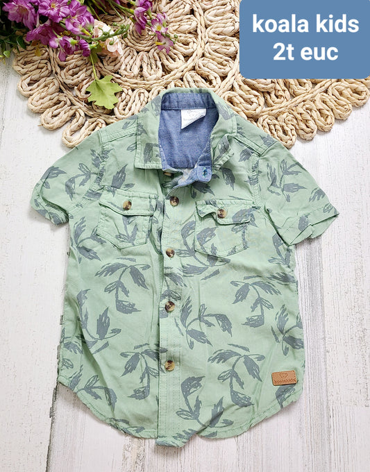 sage green koala kids