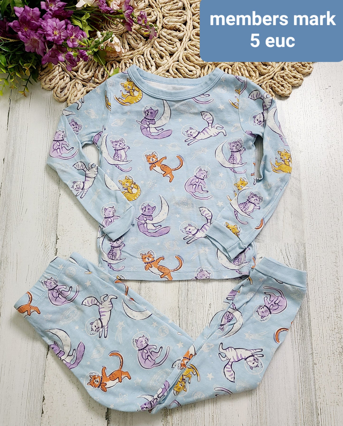 cat astronaut pj members mark
