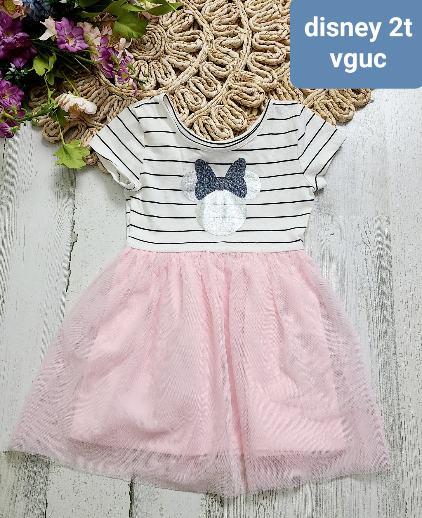 minnie mouse stripe tutu dress
